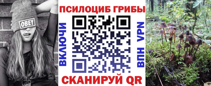 Псилоцибиновые грибы мухоморы Козловка